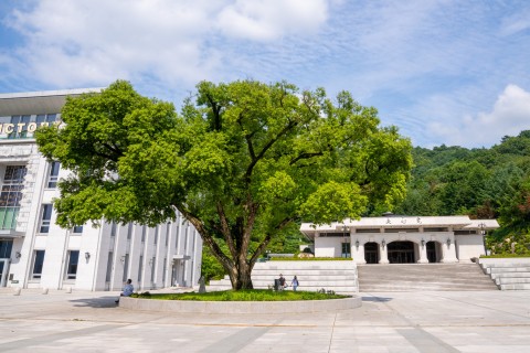 HJ天宙天寶夏風景写真